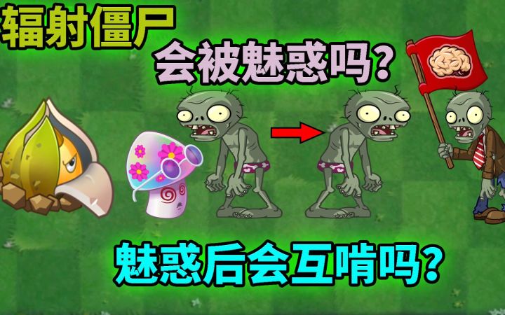 Pvz2流言终结者 辐射僵尸会被魅惑吗？截图