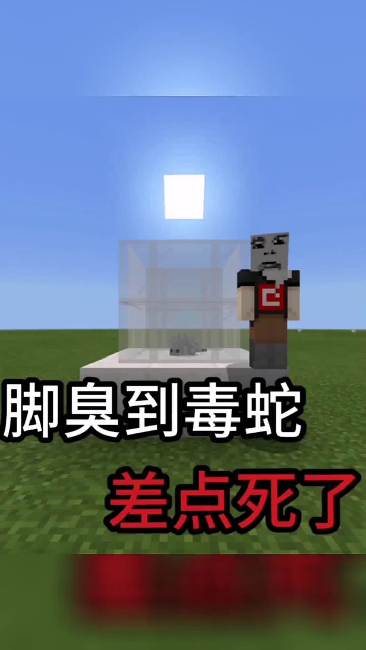 这个脚的杀伤力太强了😂😂😂#我的世界 #抖音小助手截图