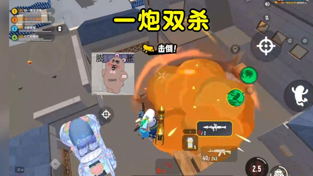 video-2972476