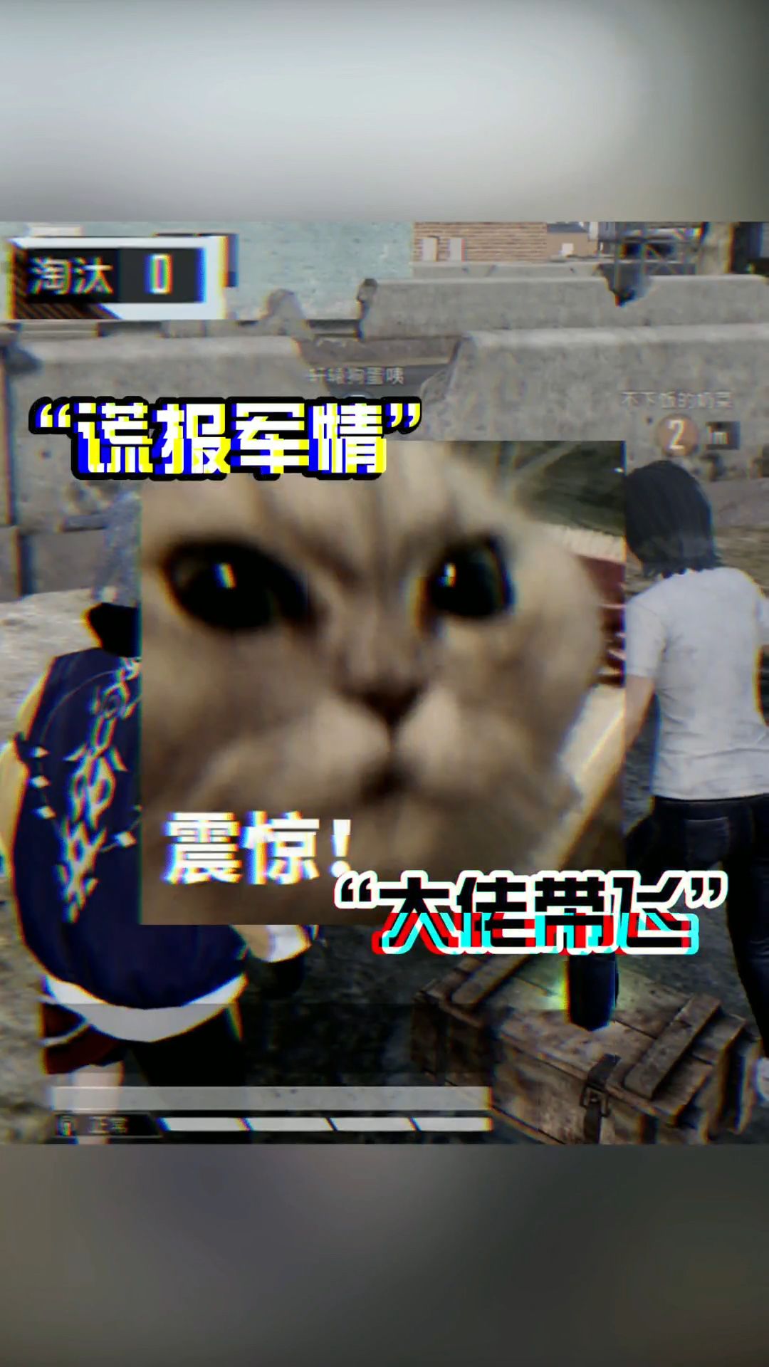 video-2120477