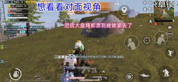 和平精英：决赛圈4v3等于1v3，队友比我还稳