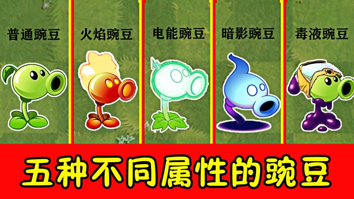 植物大战僵尸:五种不同属性的豌豆,你会支持谁呢?截图