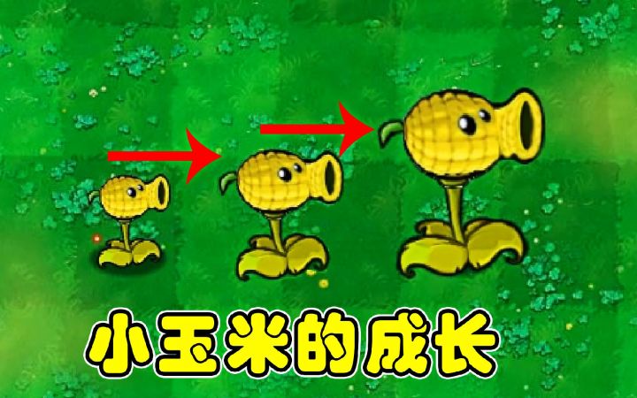 植物大战僵尸：小玉米的成长，一步步变强！截图