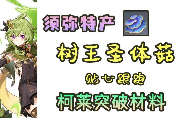 【原神】柯莱突破材料树王圣体菇跟跑路线~（水天丛林20）截图