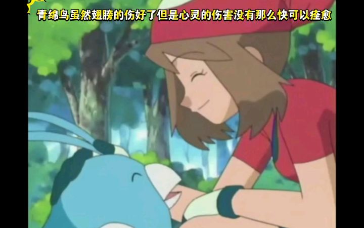 精灵宝可梦 青绵鸟虽然翅膀的伤好了但是心灵的伤害没有那么快可以痊愈截图