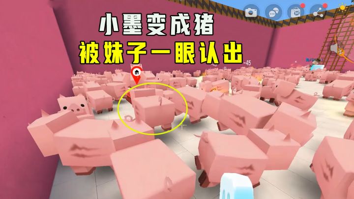 迷你世界:猪中找人,小墨变猪妹子也能一眼认出,居然隐身逃出去截图