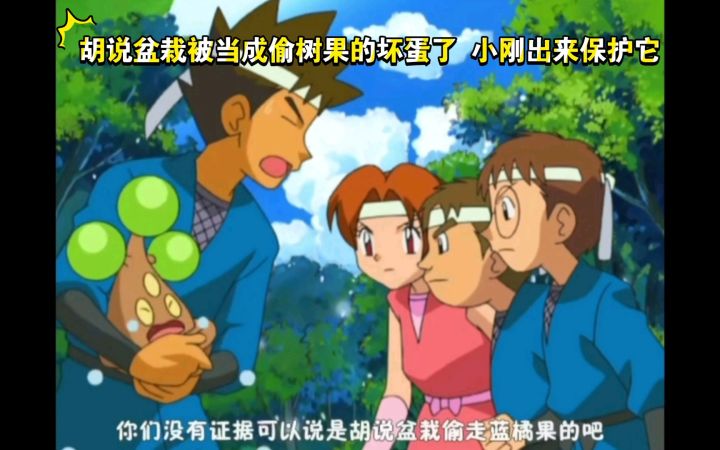 精灵宝可梦 胡说盆栽被当成偷树果的坏蛋了 小刚出来保护它截图