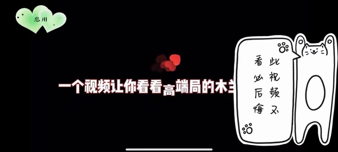video-3044313