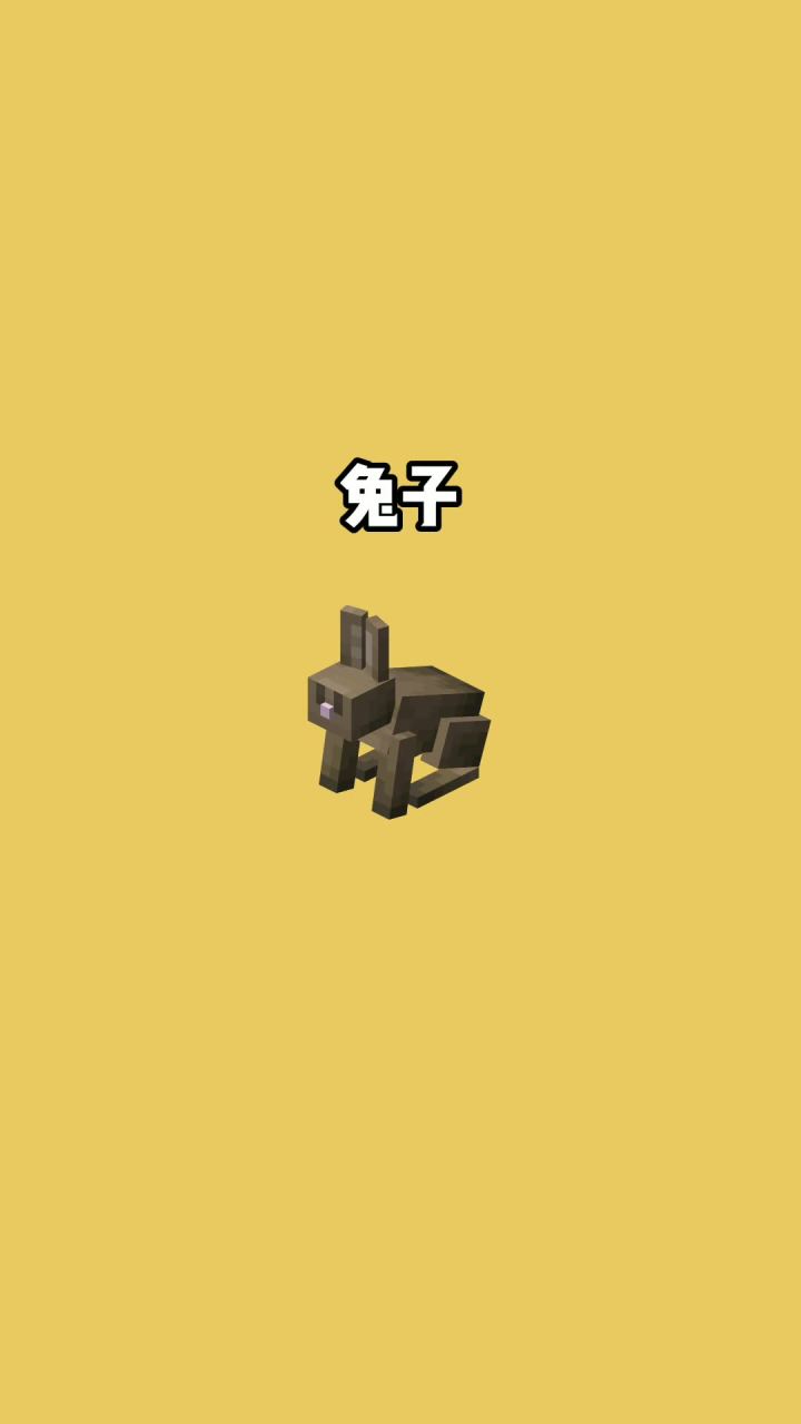 我的世界vs真实世界——兔子#我的世界动画截图