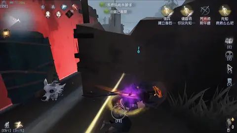 video-2113495