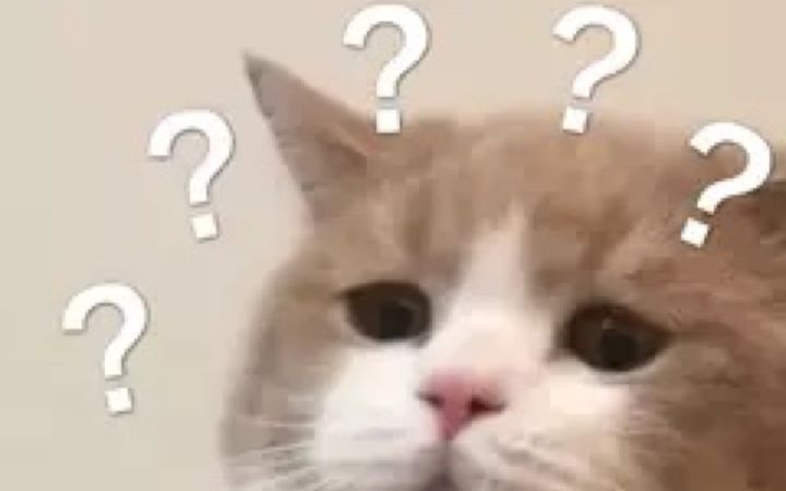 这猪皮恶霸是背着我喝雪莲汤吗?截图