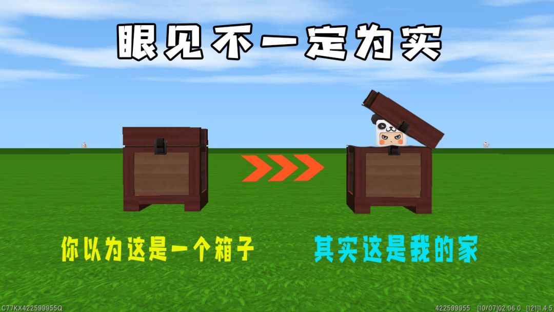 video-2228137