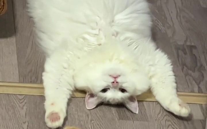 快给孩子找个班上吧截图