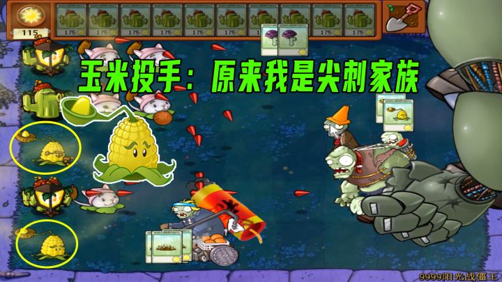 植物大战僵尸:仙人掌对战小老弟,我也只能帮它到这儿了截图