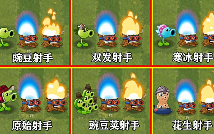 当每个射手都拥有五个叶绿素,看谁能用最少叶绿素击败僵尸?截图