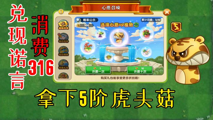 植物大战僵尸：氪金316拿下5阶虎头菇！截图
