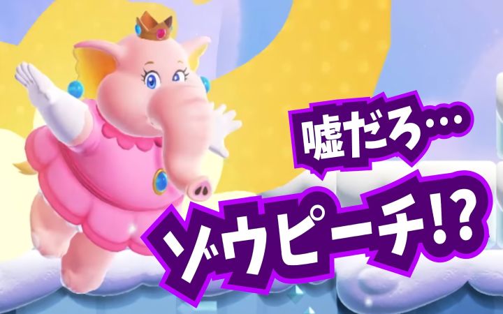 马力欧御宅族在看着《超级马力欧兄弟 惊奇》的直接反应集【日本·直面会·新作·马里奥·任天堂NS·搬运·ロジー&マリオファンの集い】截图