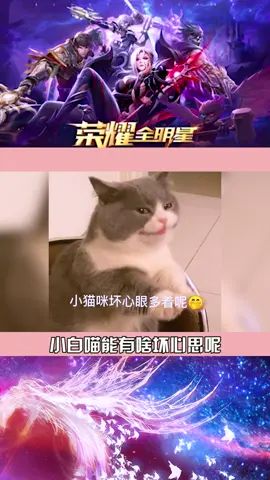 闯关手游【荣耀全明星】,白喵邀你来玩~截图