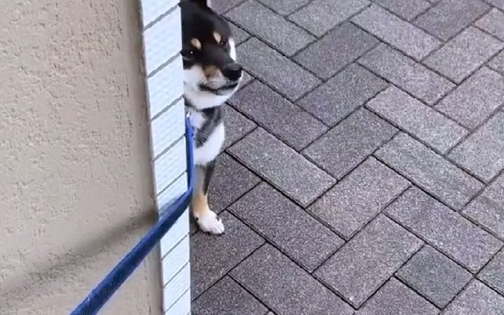 哪能有这么犟的修勾截图