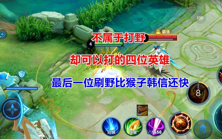 不属于打野,却可以打的四位英雄,最后一位刷野比猴子韩信还快!截图