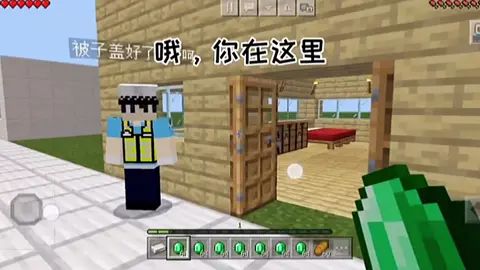 video-2137732