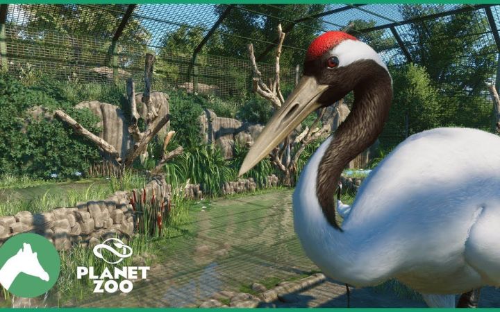 【搬运】动物园之星 Red-Crowned Crane Aviary | Elm Hill City Zoo by Cesar Creates截图