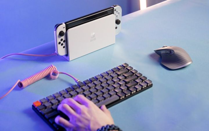 【主机测评】你能否在任天堂Switch上使用键盘鼠标玩游戏？截图
