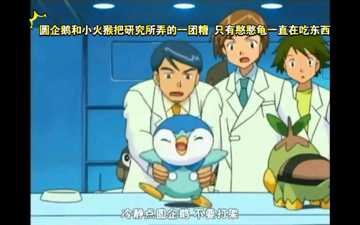 精灵宝可梦 圆企鹅和小火猴把研究所弄的一团糟 只有憨憨龟一直在吃东西截图
