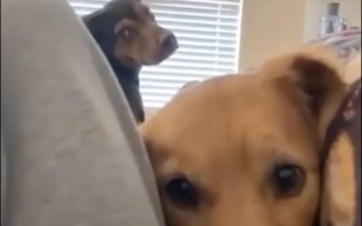 人不犯我,我不犯人截图