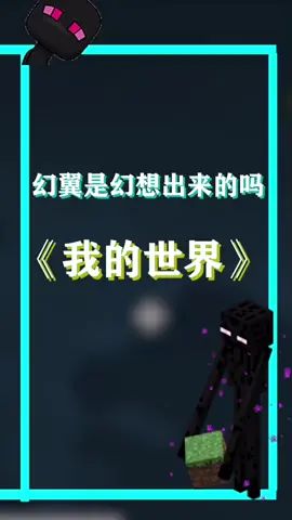 幻翼并不是幻想出来的，它是真实存在的截图