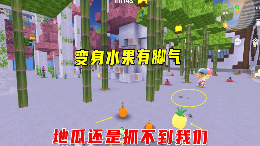 video-2657558