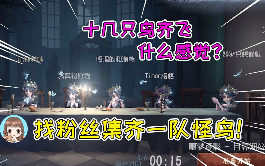 video-2087831