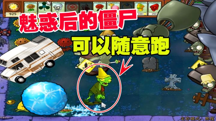 植物大战僵尸:奇怪的植物,僵王没意外,魅惑后的僵尸可以随意跑截图