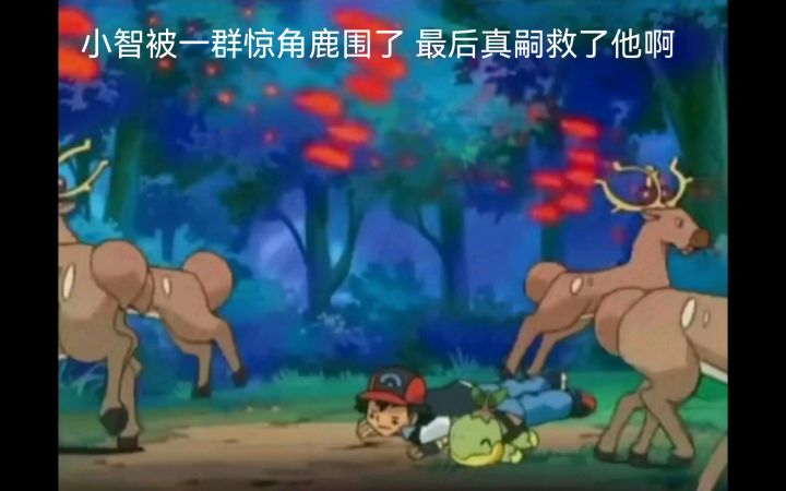 精灵宝可梦 小智被一群惊角鹿围了 最后真嗣救了他啊截图