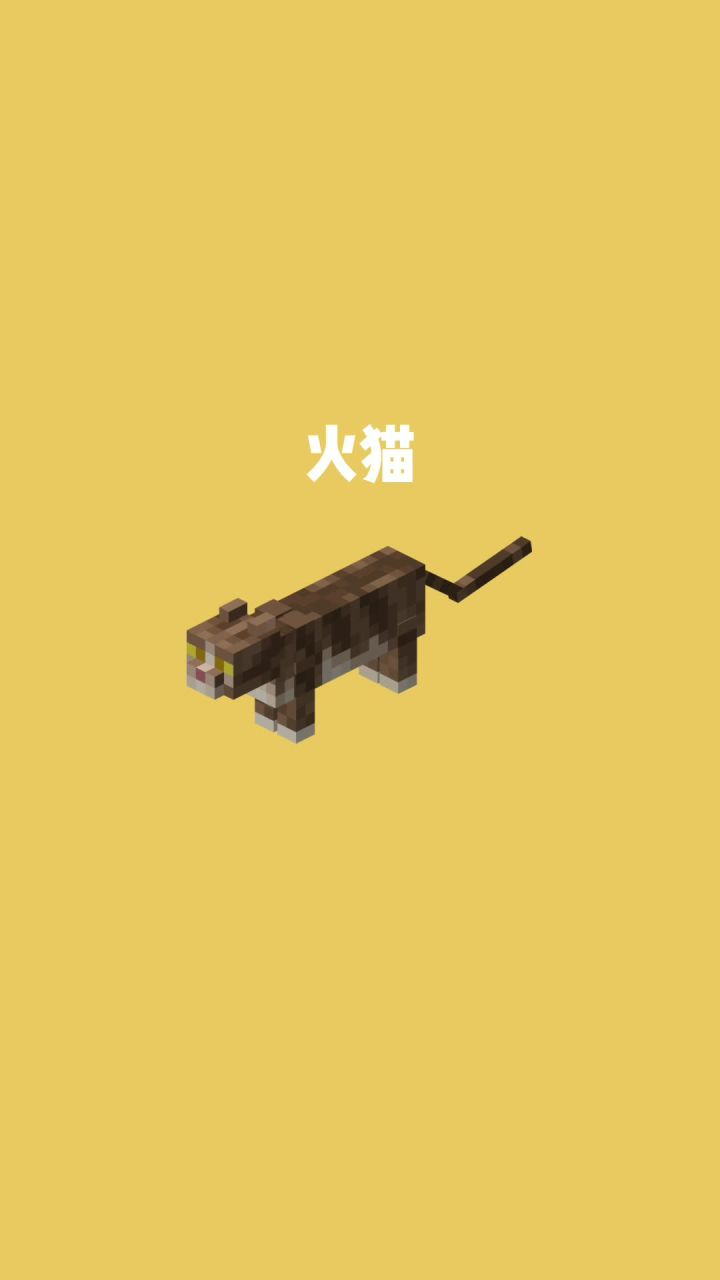 我的世界vs真实世界——火猫#我的世界动画截图