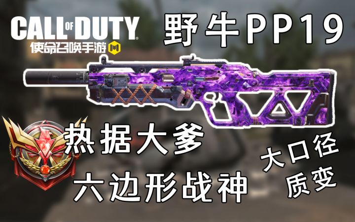 把把起野牛，按住开火不松手！PP19加强后真的太硬了截图