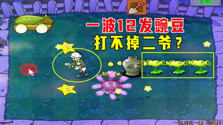 植物大战僵尸:一生一罐(30)罐,一波12发豌豆打不掉二爷?截图