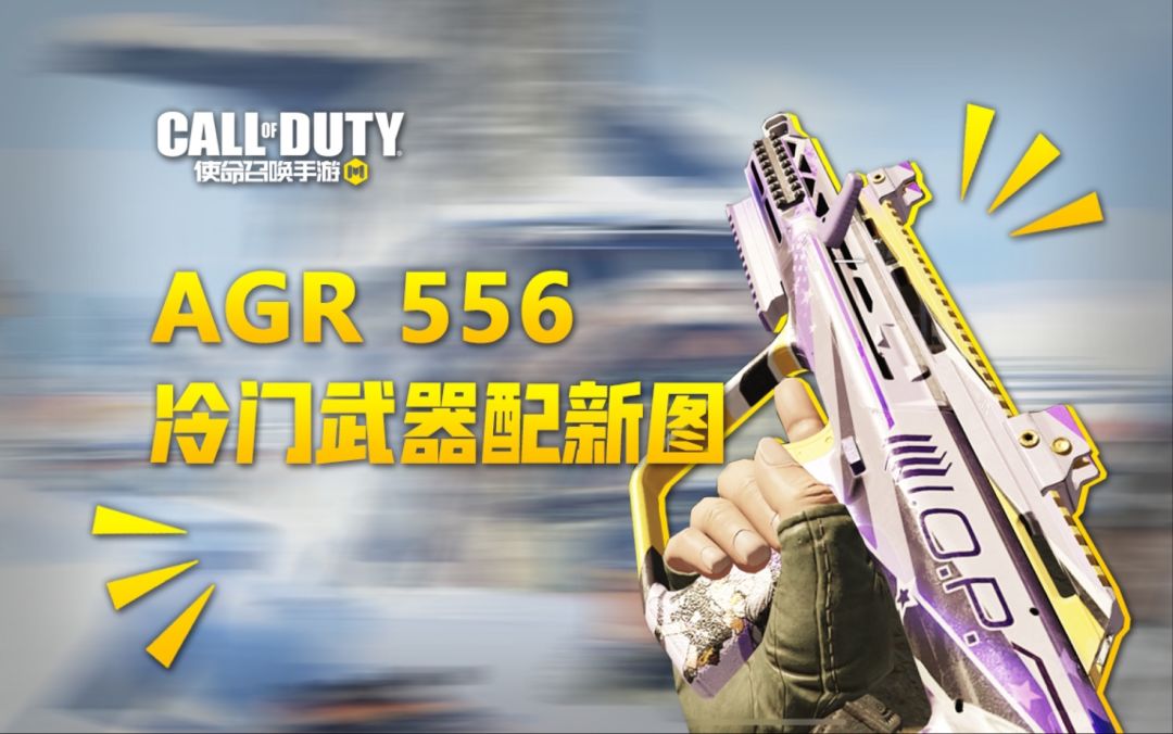 【使命召唤手游】冷门枪械之AGR556 顺便看下破冰船实战打法鸭截图