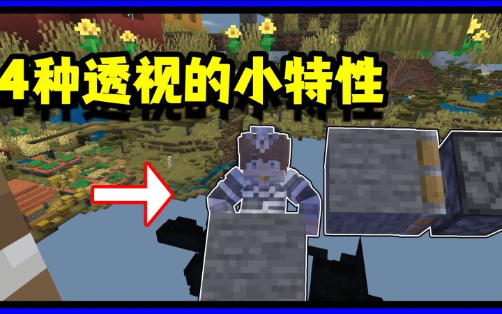 我的世界冷知识:基岩版四种简单的卡透视小技巧截图