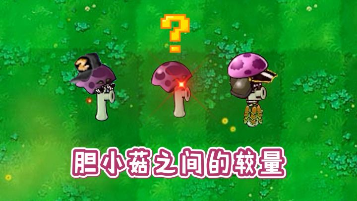 植物大战僵尸:胆小菇三兄弟,有何不同?截图