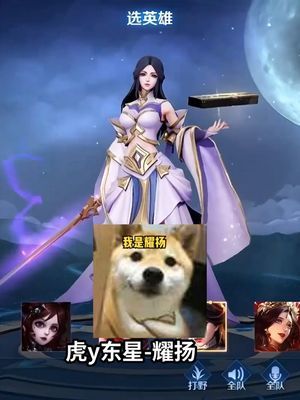 大家好我今天是耀扬 #游戏日常 #王者 #搞笑截图