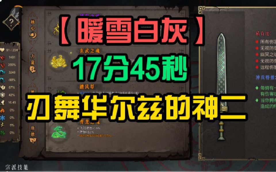 video-3173284