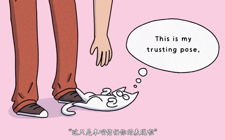 【cats protection】-猫咪翻肚皮真的是在"邀请"你摸吗??真相大不同!不要辜负小猫咪的信任哟~!Why does my cat attack截图