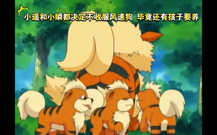 精灵宝可梦 小遥和小瞬都决定不收服风速狗 毕竟还有孩子要养截图