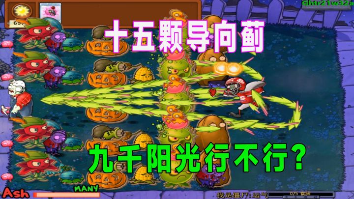 植物大战僵尸:粉丝投稿九千阳光,这难度有点大呀!截图