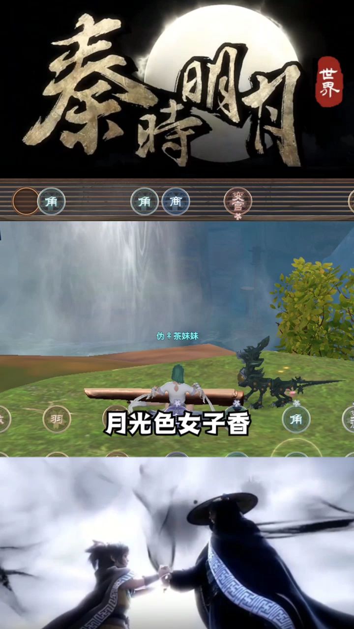 video-1492551