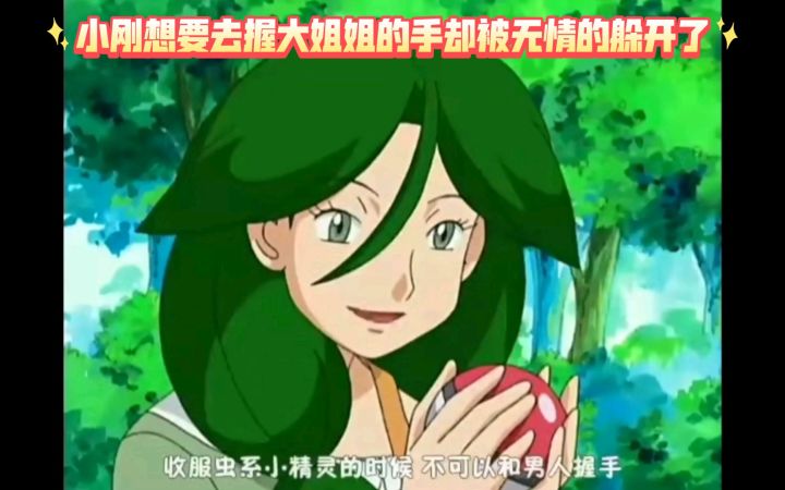 精灵宝可梦 小刚想要去握大姐姐的手却被无情的躲开了截图