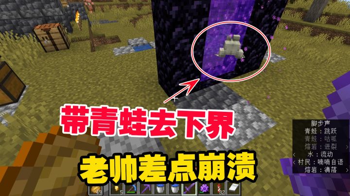 1.19联机35:带青蛙去下界,老帅差点崩溃,青蛙表示很上火截图