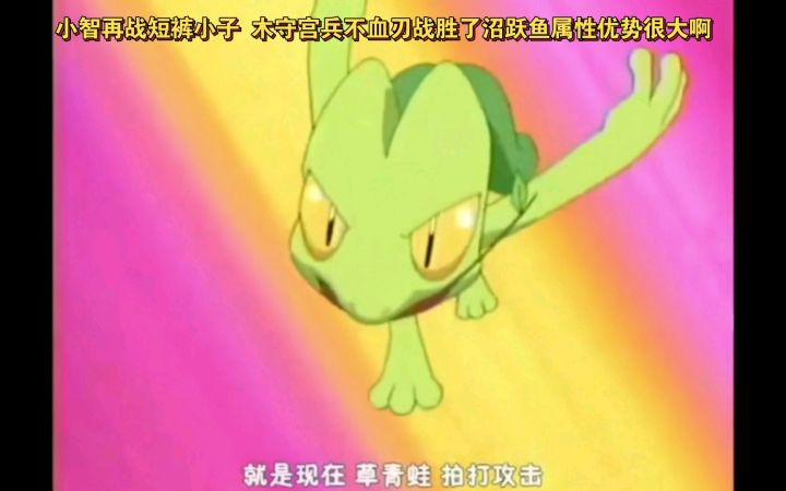 精灵宝可梦 小智再战短裤小子 木守宫兵不血刃战胜了沼跃鱼属性优势很大啊截图