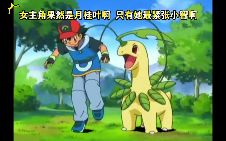 精灵宝可梦 女主角果然是月桂叶啊 只有她最紧张小智啊截图